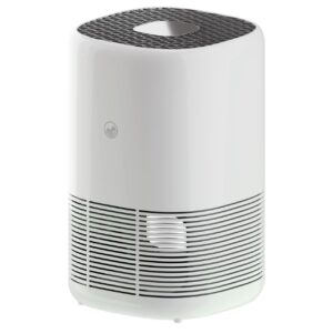 BigWater Air Purifier